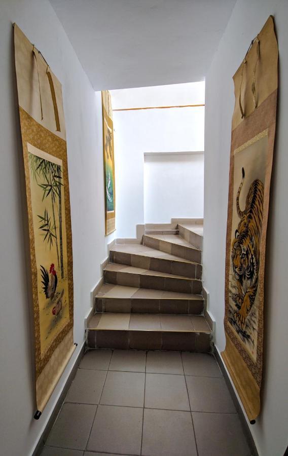 Pension Casa Samurai Braşov Dış mekan fotoğraf