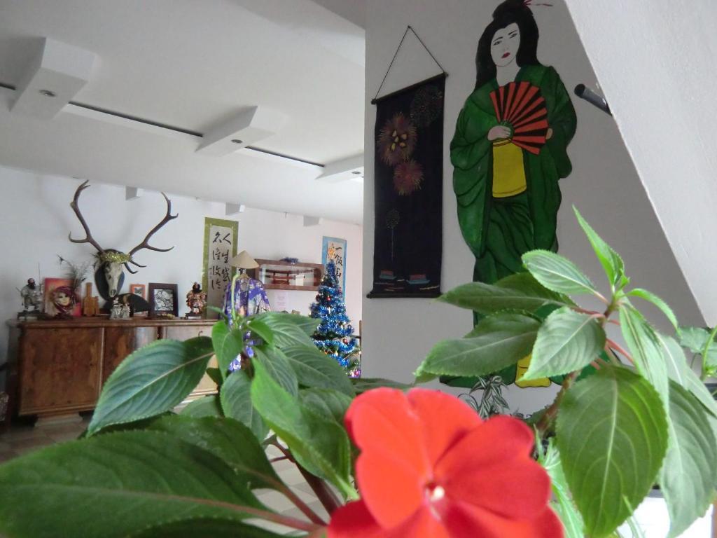 Pension Casa Samurai Braşov Dış mekan fotoğraf