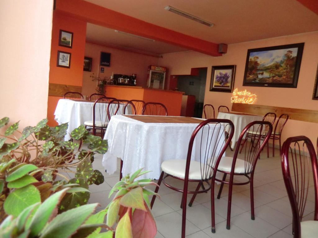 Pension Casa Samurai Braşov Dış mekan fotoğraf