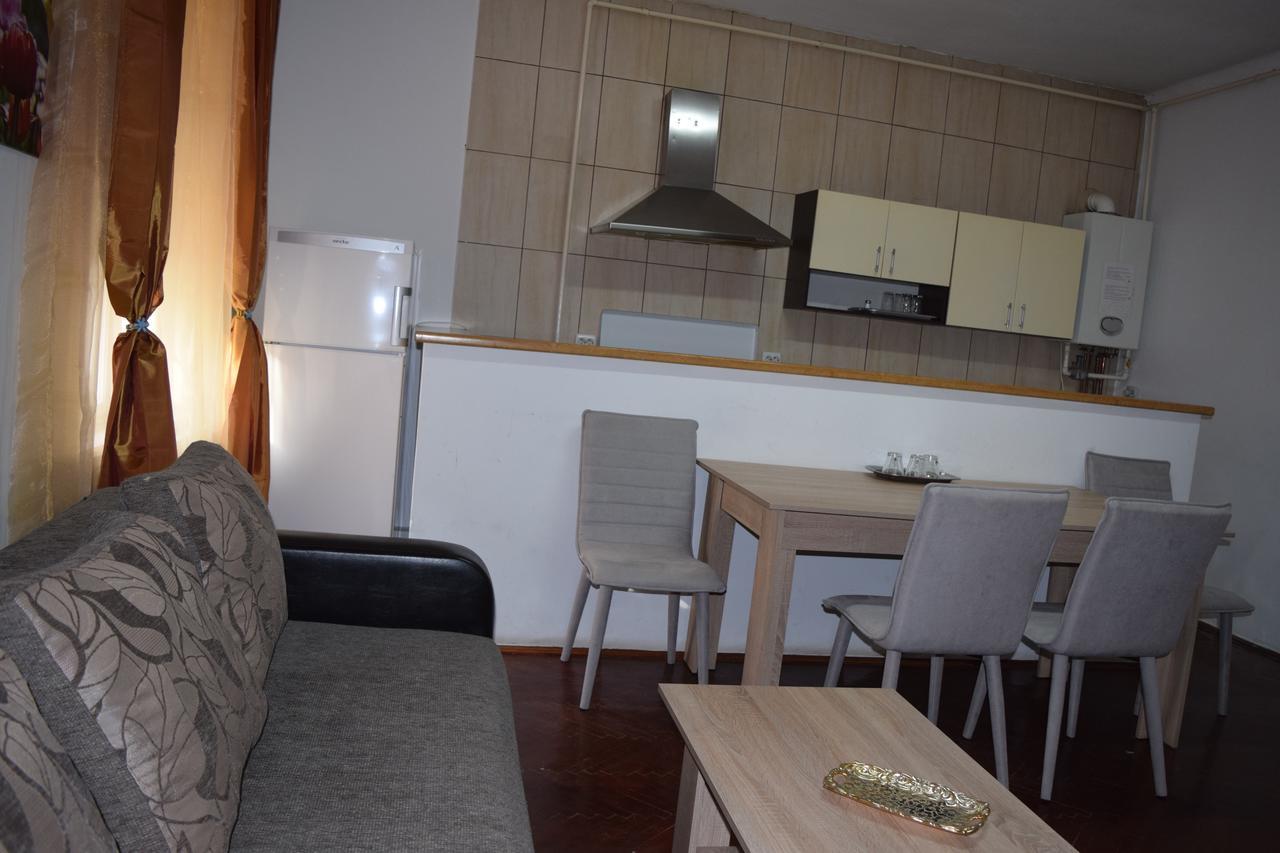 Pension Casa Samurai Braşov Dış mekan fotoğraf